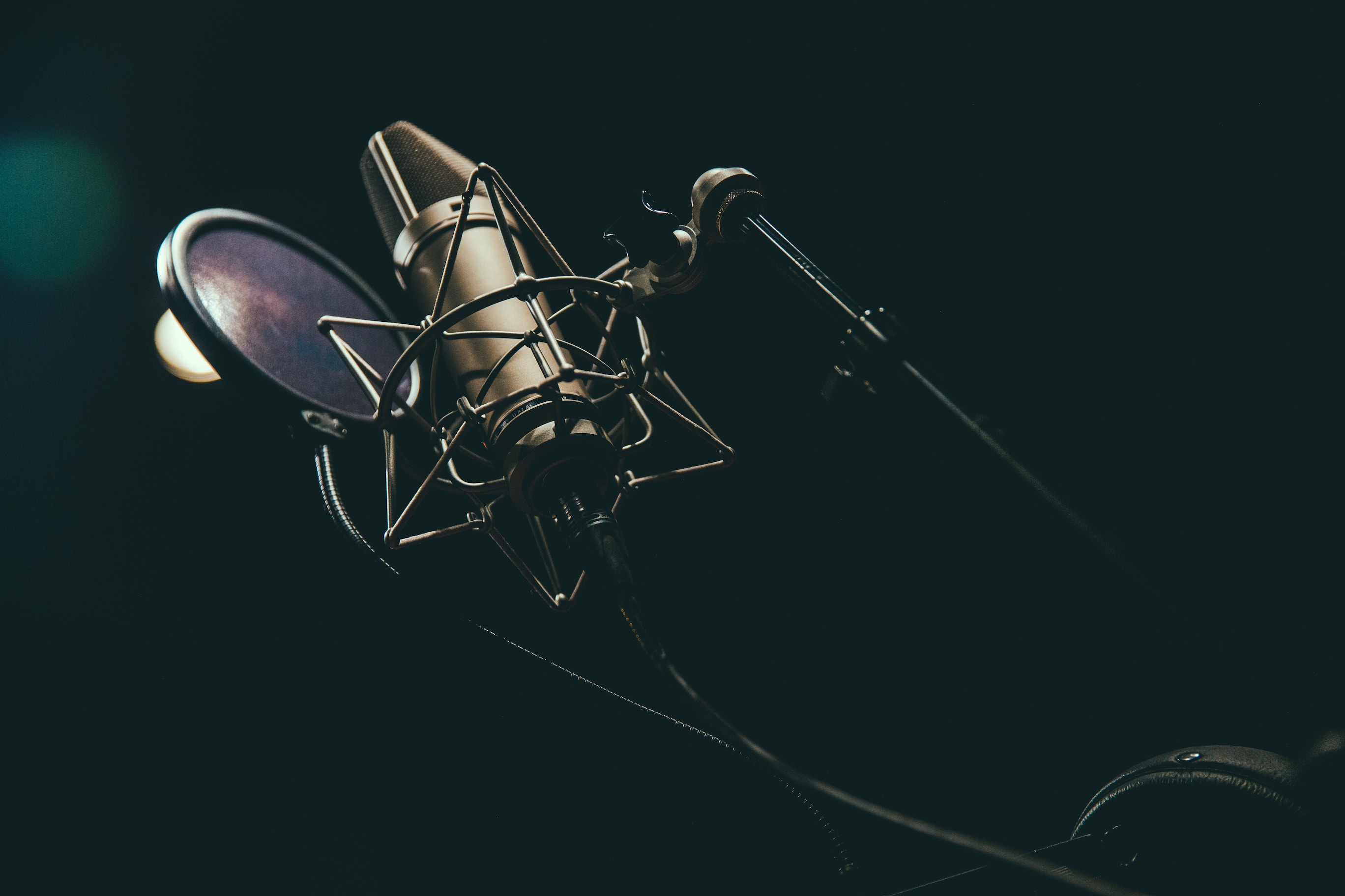 A photograph of a microphone.